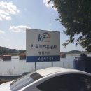 고잔낚시터식당 | 고잔낚시터 수상좌대를 다녀왔습니다~ 언제나 꽝이 없는곳