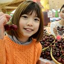 (주)체리판매 이미지