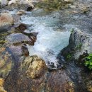 용소계곡펜션 이미지