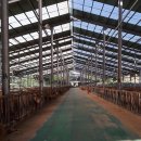 내흥리농장 이미지