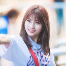 모모그린