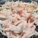 나도 행복한 삶의 주인공으로 살 수 있을까? | [영덕농수산 홍게 3kg] 수율 좋은 제철홍게 택배, 라면부터 파스타까지 완벽한 게 파티 후기!