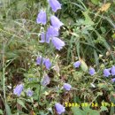 법흥3리 이미지