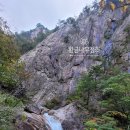 액비골(2) | 도시 농부 올빼미의 텃밭 가이드 - 부추, 대파, 쪽파 유다경