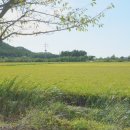 파도와노을캠핑장 이미지