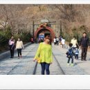 [경상북도 청도] 와인터널
