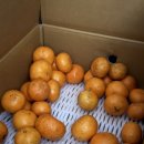 범수네농장 이미지