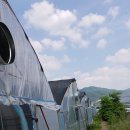 세원농장 이미지