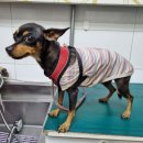 북비산로 이미지