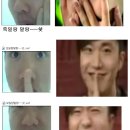 토비토비