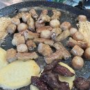 휴거리농장 이미지