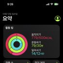 썬  쇼핑 이미지