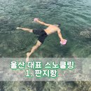 물고기# | 울산 판지항 스노쿨링 총정리 |주차,포인트,준비물,물고기,후기