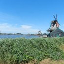 풍차마을 이미지