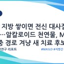 간에 지방 쌓이면 전신 대사질환 위험…알칼로이드 천연물, MASLD 다중 경로 겨냥 새 치료 후보로 이미지