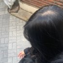 팬더리아 이미지