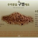 장단콩전시관 Daum카페