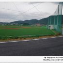 거금야구장 이미지