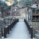 대관령솔내음오토캠핑장 이미지