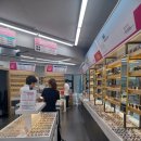 으뜸플러스안경괴정점 | 괴정 가성비 갑 안경점!! <으뜸 플러스 안경 괴정점> 내돈내산