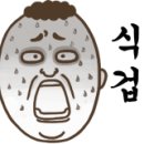 더샤인광택 이미지