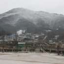 금성초교 이미지