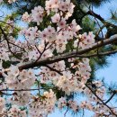 한양대기숙사(인재3관) 이미지