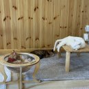 강남힐링 | 내돈내산 강남역 데이트 추천, 방문이 기부가 되는 유기묘카페 집사의하루 강남점 힐링 후기