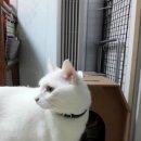 제니펫하우스 이미지