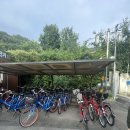 공영자전거 정림사지 대여소 | 전주 공영자전거 꽃싱이 대여 방법 바람쐬는길 라이딩과 대여소 주차 솔직후기