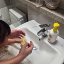 스펀지 | 신생아 목욕 필수템 추천템! 라리베라 룰라러브 천연해면 ㅣ 아기 목욕스펀지 사용후기