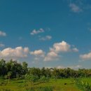 (주)올로 이미지