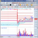 디아이인터내셔널 이미지