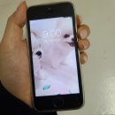 네일디테 이미지