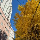 우정제방 | 세상에공개하면안될것같음에도사실아무일없을이야기