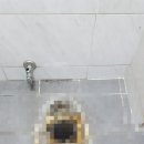 정심무역 이미지