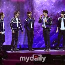 드림MD 마이데일리