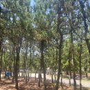 다대2동점 굽네치킨 이미지