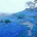 모닝블루 이미지