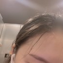 댕'stop 이미지