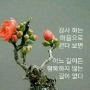 찔레꽃전설 & 좋은글 이미지