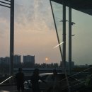 조은게마씸 | 여름 제주 여행기(2024.9.10 - 2024.9.13)