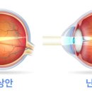 탁 글라스(TAk GLASS) 이미지
