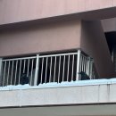 준독 | [공지] [일본여행] 삿포로 비에이 투어 흰그림자투어 <준페이 자동 예약 확정> 내돈내산 후기