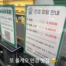 명문안경원 | [리뷰] 대전 안경원 하우스브랜드 다양한 곳 ‘세컨페이스’