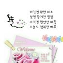 풍류관 Daum카페