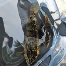 문경세재 | 대구 근교 계곡 경북 문경 세재 계곡 방문 후기 깊은곳 있음