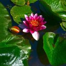 산양리 복지회관 이미지