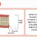 실험과학학원 이미지