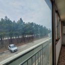 지에스25강릉남항진항점 | [강릉해변 상가건물]대박! 남항진 해변 근린상가! 연수원, 근린시설 등 최고의 매력적인 투자처! 백사장...